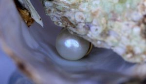 gemoastrología perlas
