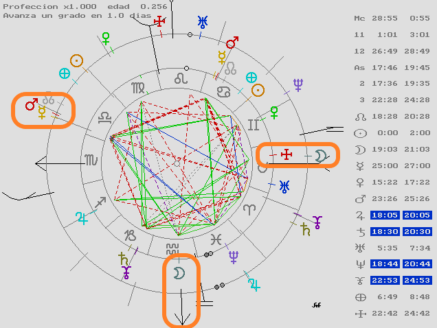 astrología, tarot, magia, coaching