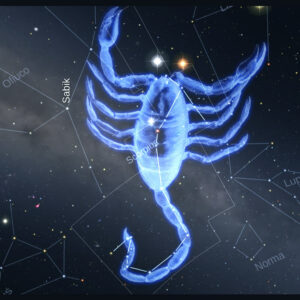 Felicidades Escorpio